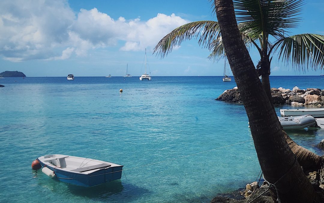 Déménager en Martinique, comment s’y prendre ?