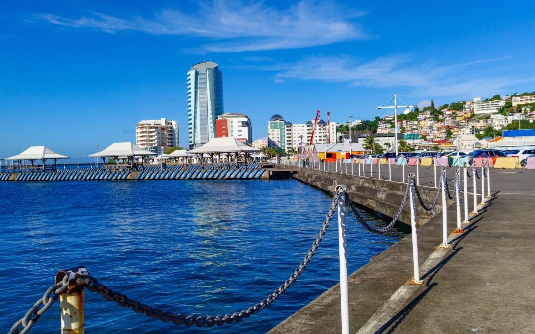 Déménager en Martinique, comment s’y prendre ?