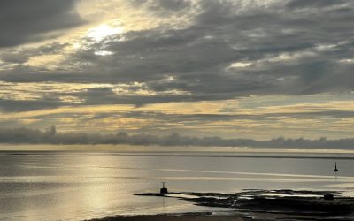 Voyage en Guyane: ce qu’il faut savoir concernant les transports sur place.